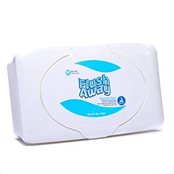 Dynarex Flush Away Flushable Wipes 1321 60 EA - Buy Packs and SAVE (Pack of 4)